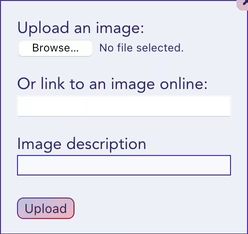 Screenshot of image modal